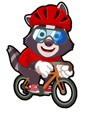 Beau the raccoon cyclist